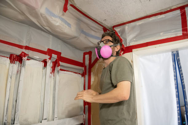 Best Basement Mold Removal  in Marlette, MI